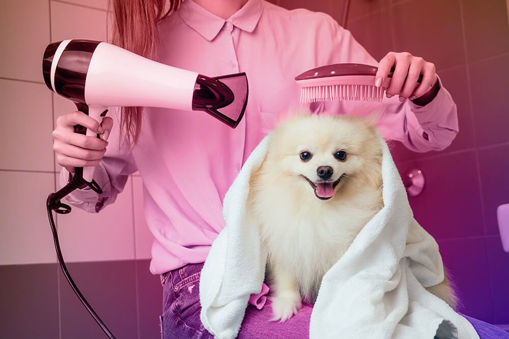 We don't have any uniform standards to make us a recognized profession. You have to go to a licensed dog groomer to have your dog shampooed, yet a dental assistance does not have to get licensed?